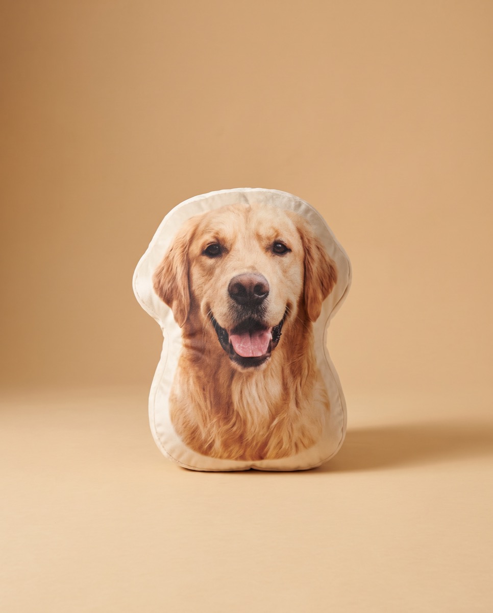 Custom Pet Pillows