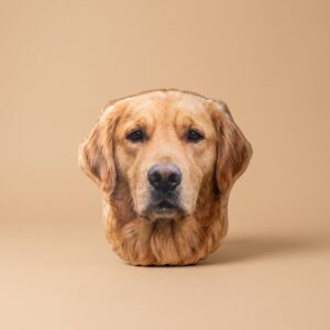 Custom Pet Face Pillow